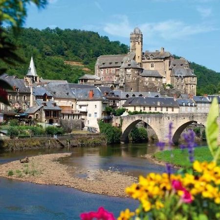 T 2 Dans Village Vacances 3 *** A Saint Geniez 2 Piscines Chauffee Pierrefiche  Kültér fotó