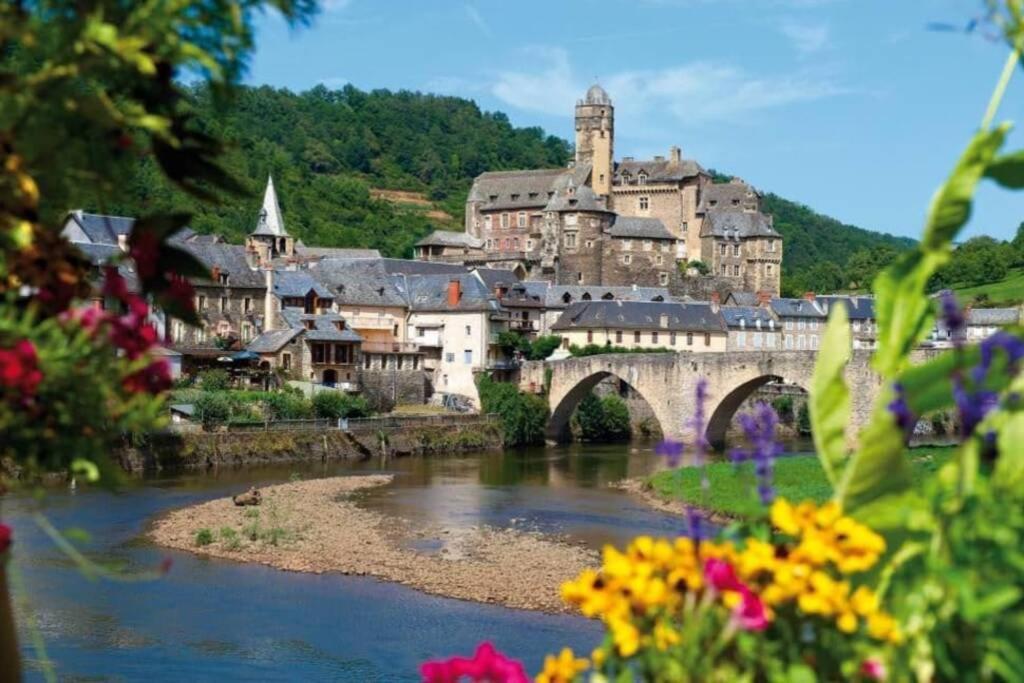 T 2 Dans Village Vacances 3 *** A Saint Geniez 2 Piscines Chauffee Pierrefiche  Kültér fotó